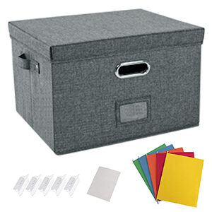 Storage Box Organizer (Gray)